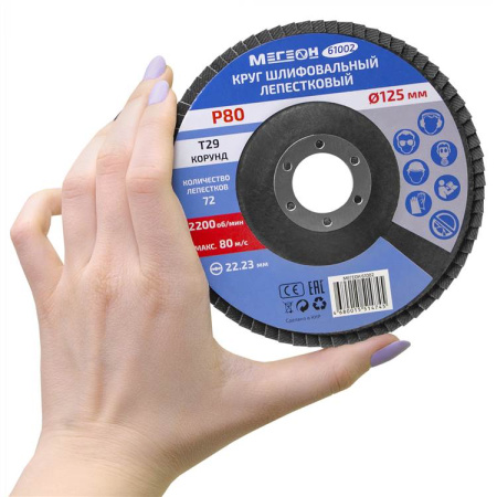 Круг шлифовальный лепестковый комплект МЕГЕОН 61002-10 купить по низкой цене | МАКСПРОФИТ
